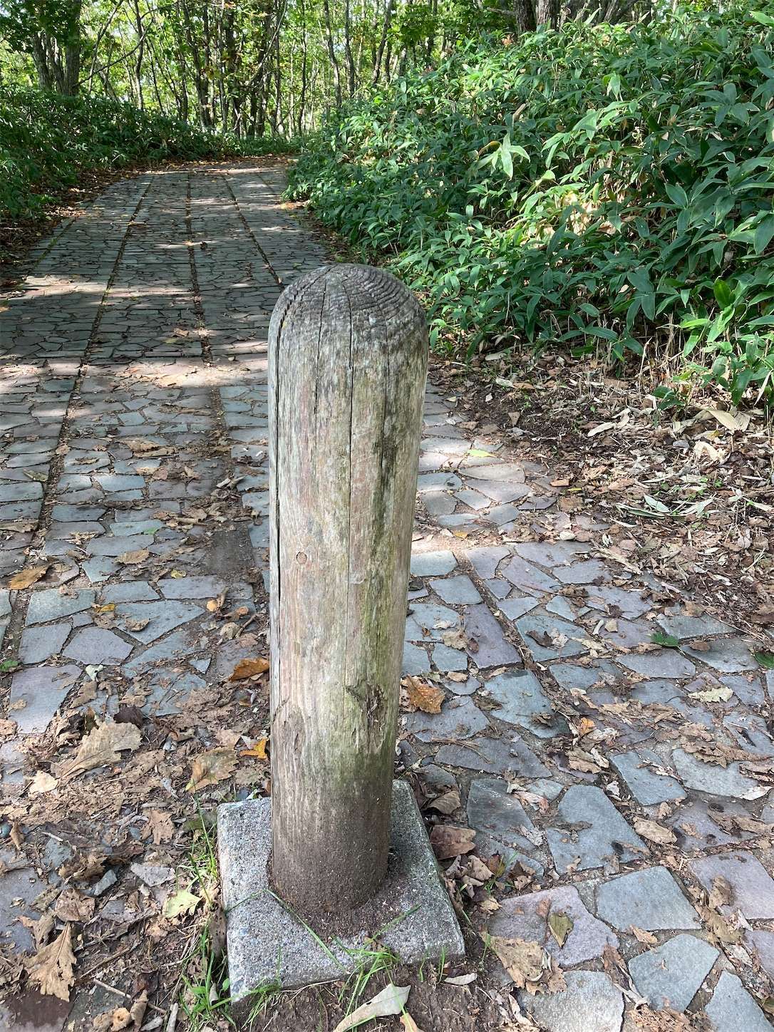 f:id:moomoon6355:20221002070911j:image f:id:moomoon6355:20221002070911j:image