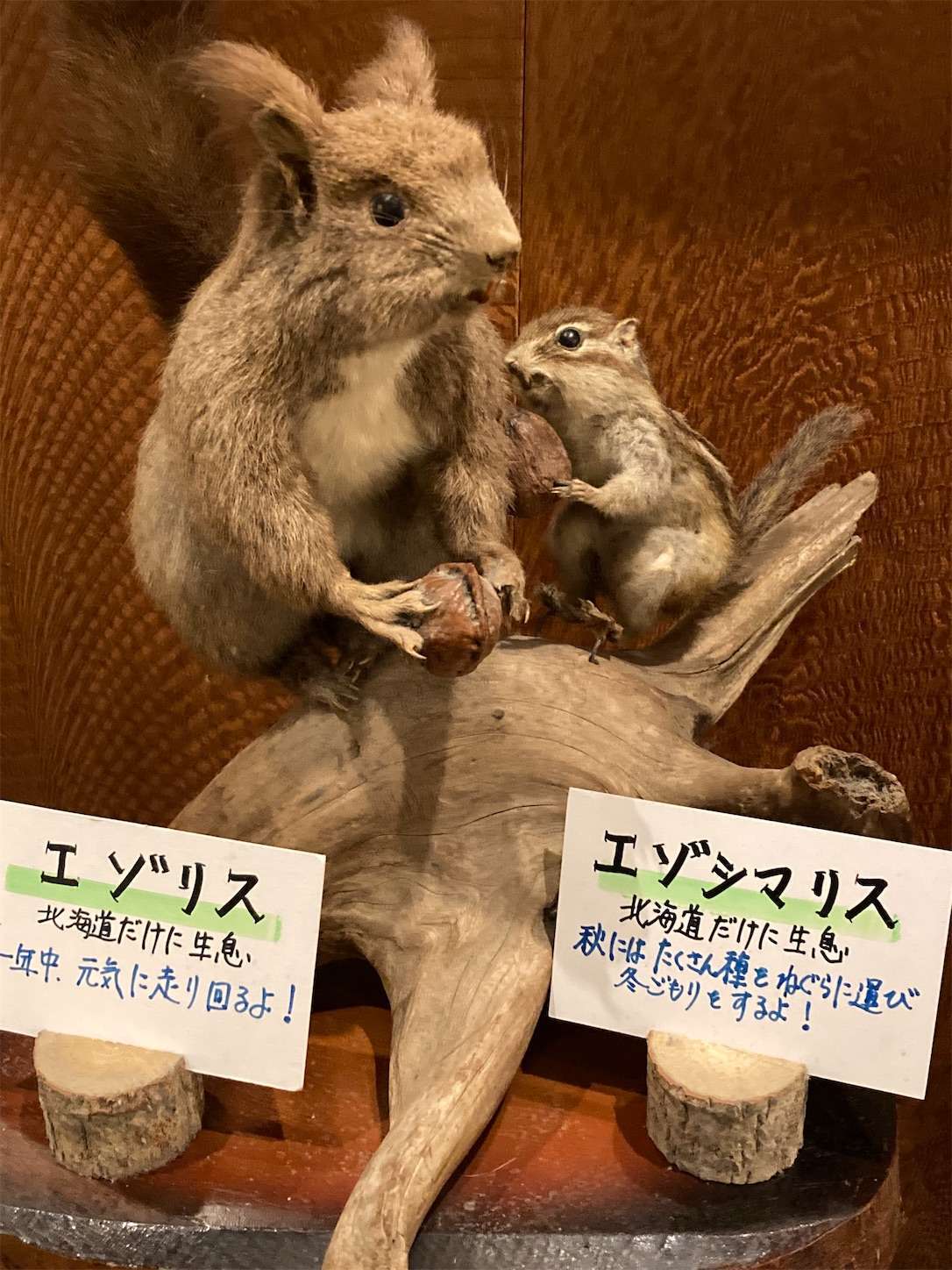 f:id:moomoon6355:20221002070919j:image f:id:moomoon6355:20221002070919j:image