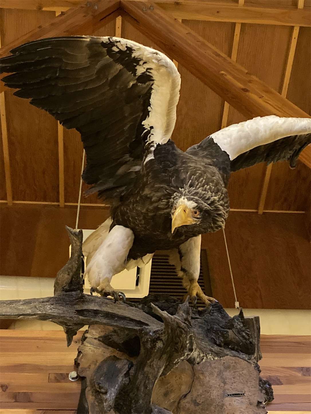 f:id:moomoon6355:20221002071213j:image f:id:moomoon6355:20221002071213j:image