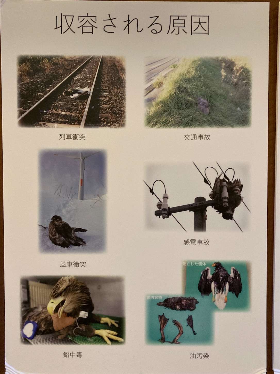 f:id:moomoon6355:20221002071216j:image f:id:moomoon6355:20221002071216j:image