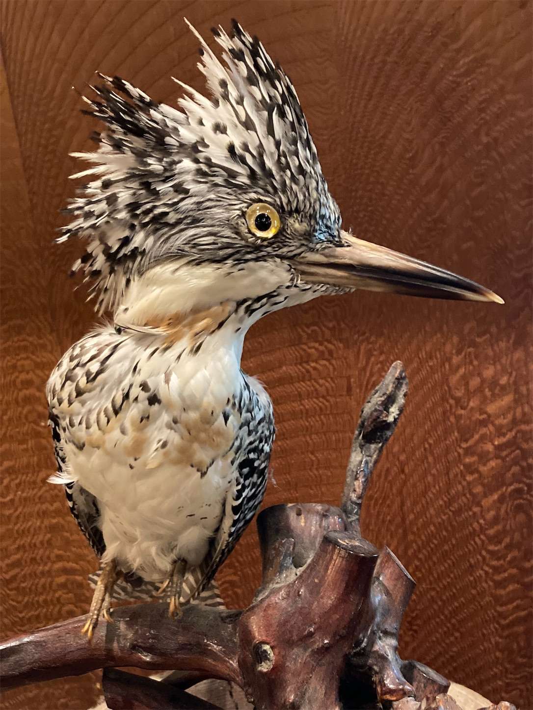 f:id:moomoon6355:20221002071224j:image f:id:moomoon6355:20221002071224j:image