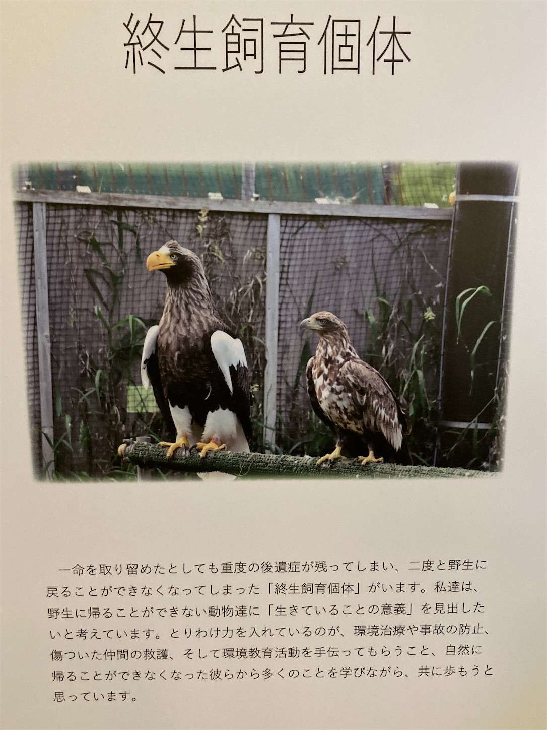 f:id:moomoon6355:20221002071448j:image f:id:moomoon6355:20221002071448j:image