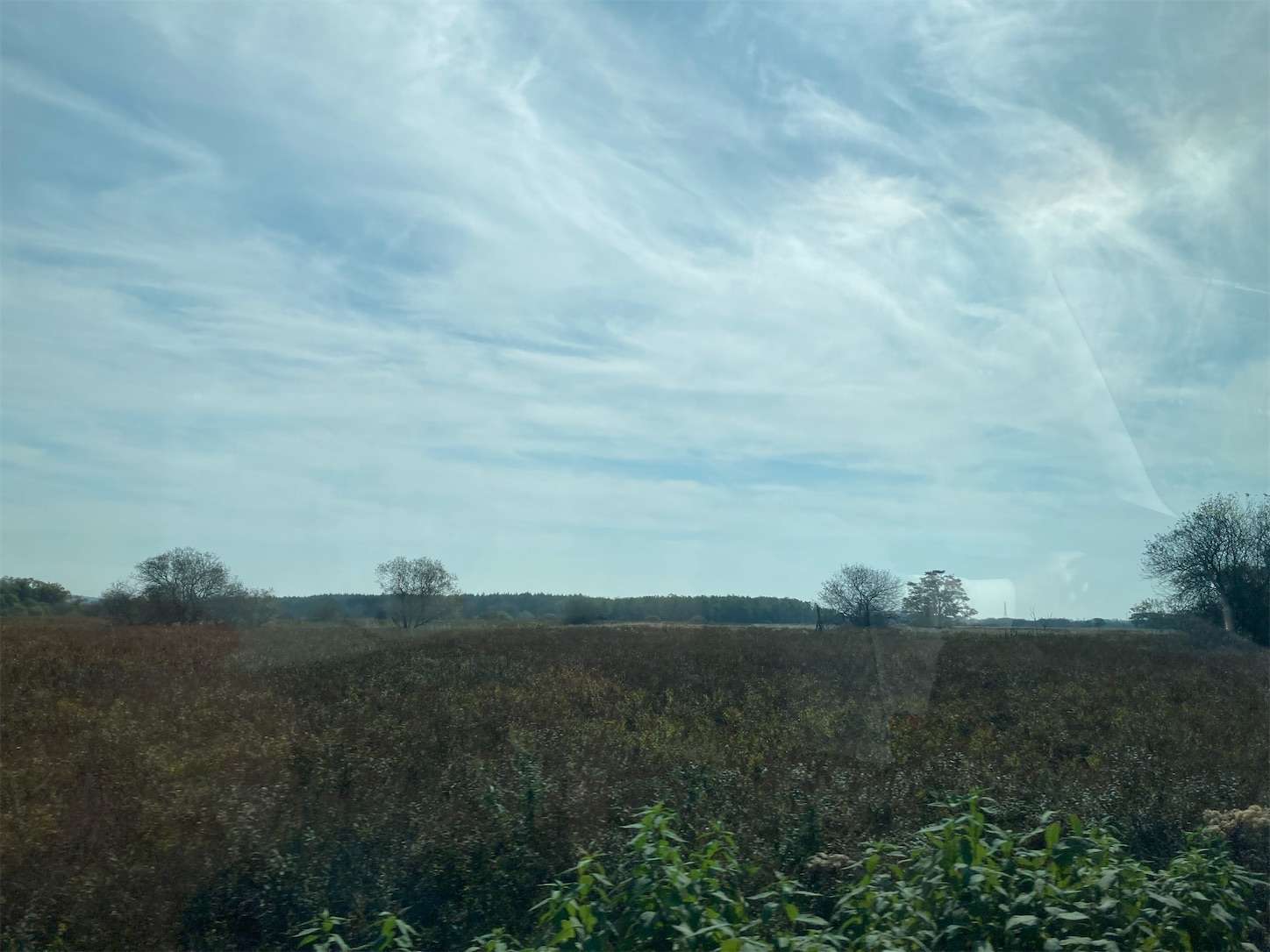 f:id:moomoon6355:20221002071452j:image f:id:moomoon6355:20221002071452j:image