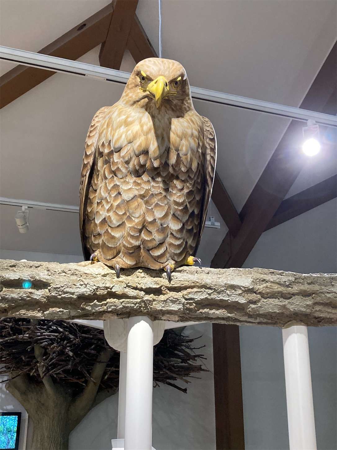 f:id:moomoon6355:20221002071521j:image f:id:moomoon6355:20221002071521j:image