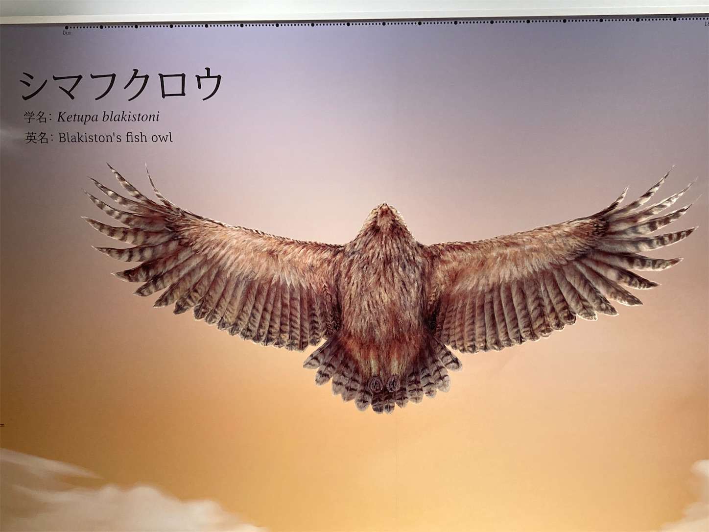 f:id:moomoon6355:20221002071534j:image f:id:moomoon6355:20221002071534j:image