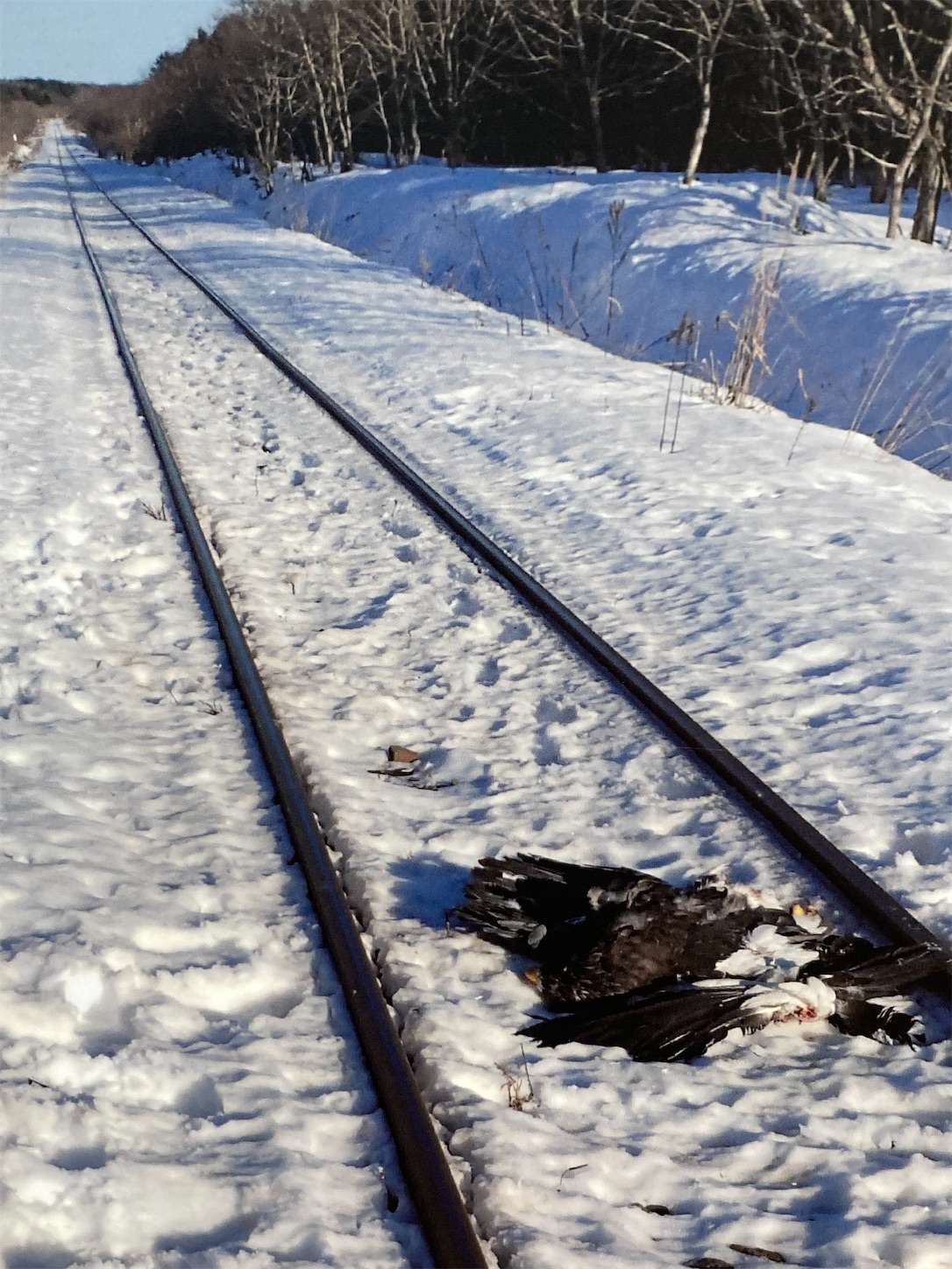 f:id:moomoon6355:20221002072108j:image f:id:moomoon6355:20221002072108j:image