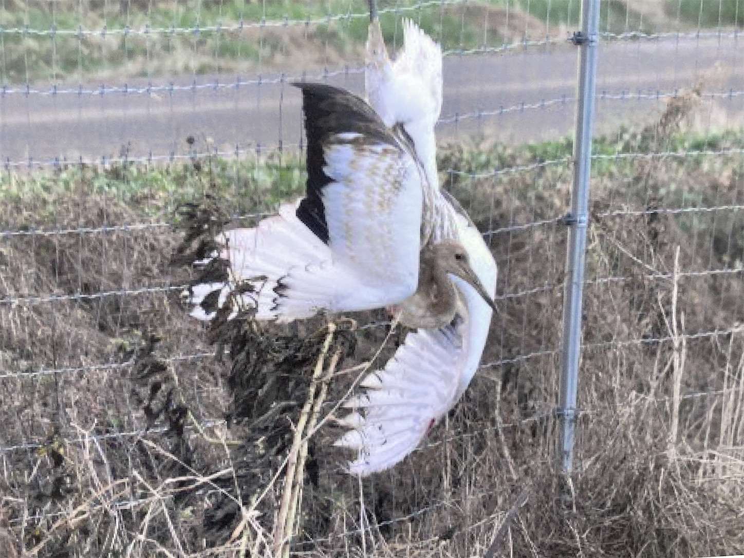 f:id:moomoon6355:20221002072121j:image f:id:moomoon6355:20221002072121j:image