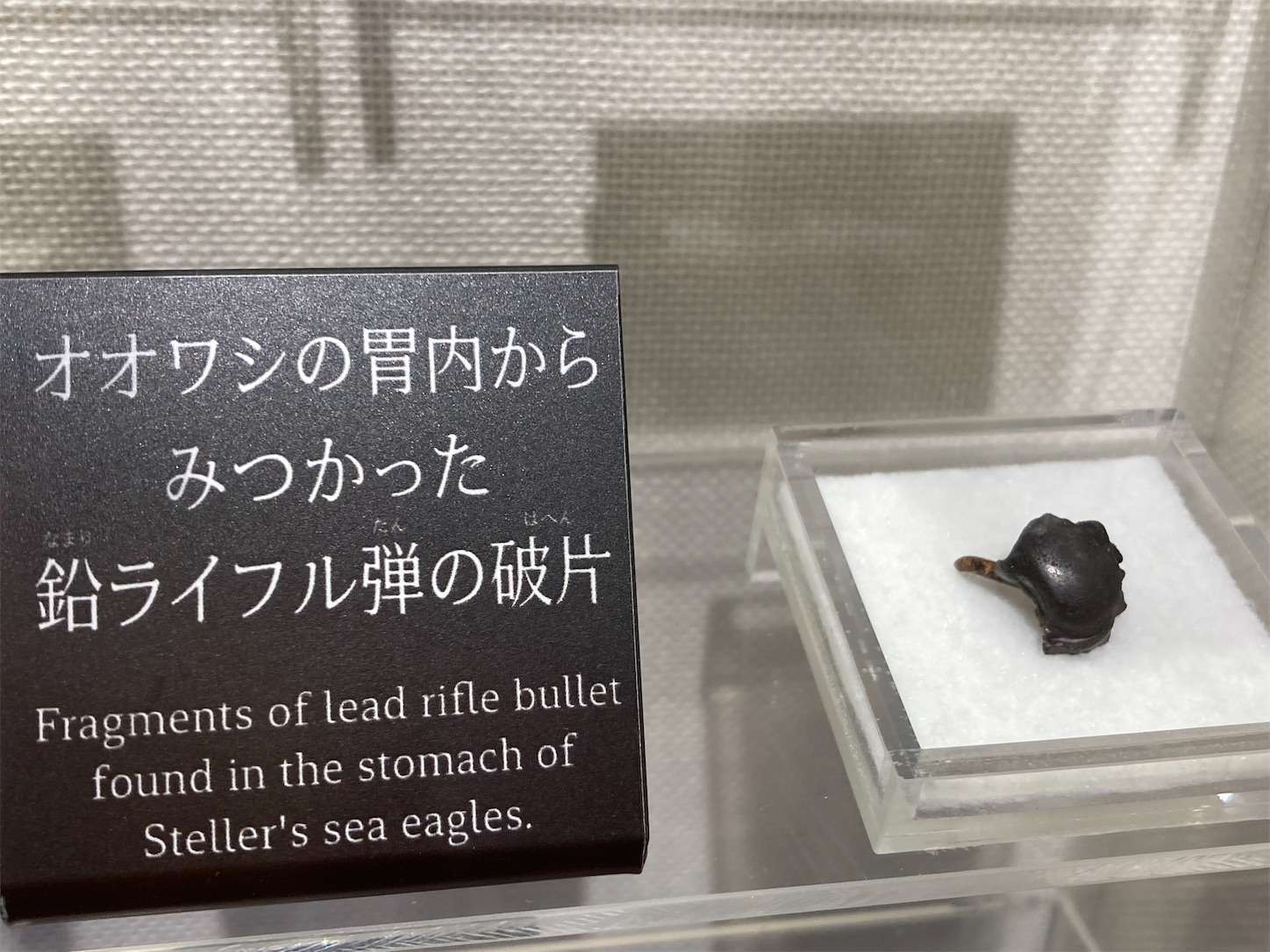 f:id:moomoon6355:20221002072206j:image f:id:moomoon6355:20221002072206j:image