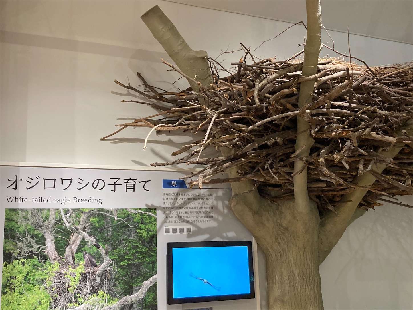 f:id:moomoon6355:20221002072220j:image f:id:moomoon6355:20221002072220j:image