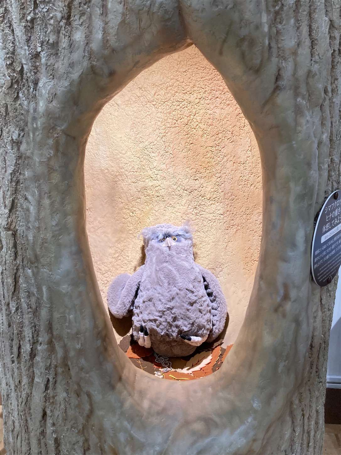 f:id:moomoon6355:20221002072418j:image f:id:moomoon6355:20221002072418j:image