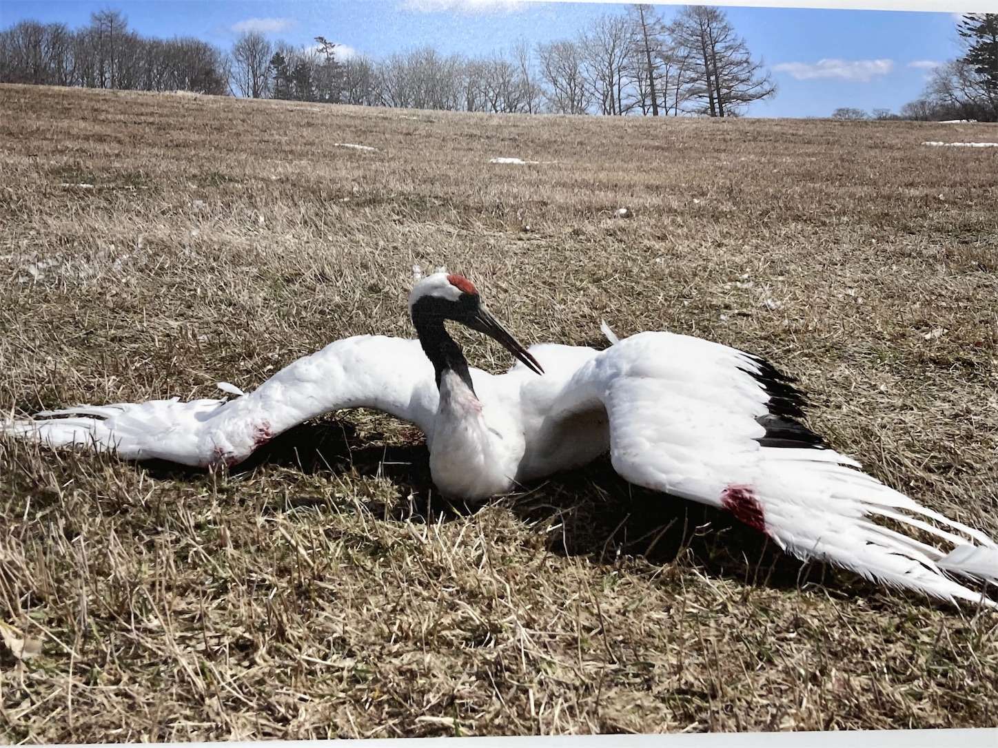 f:id:moomoon6355:20221002072423j:image f:id:moomoon6355:20221002072423j:image