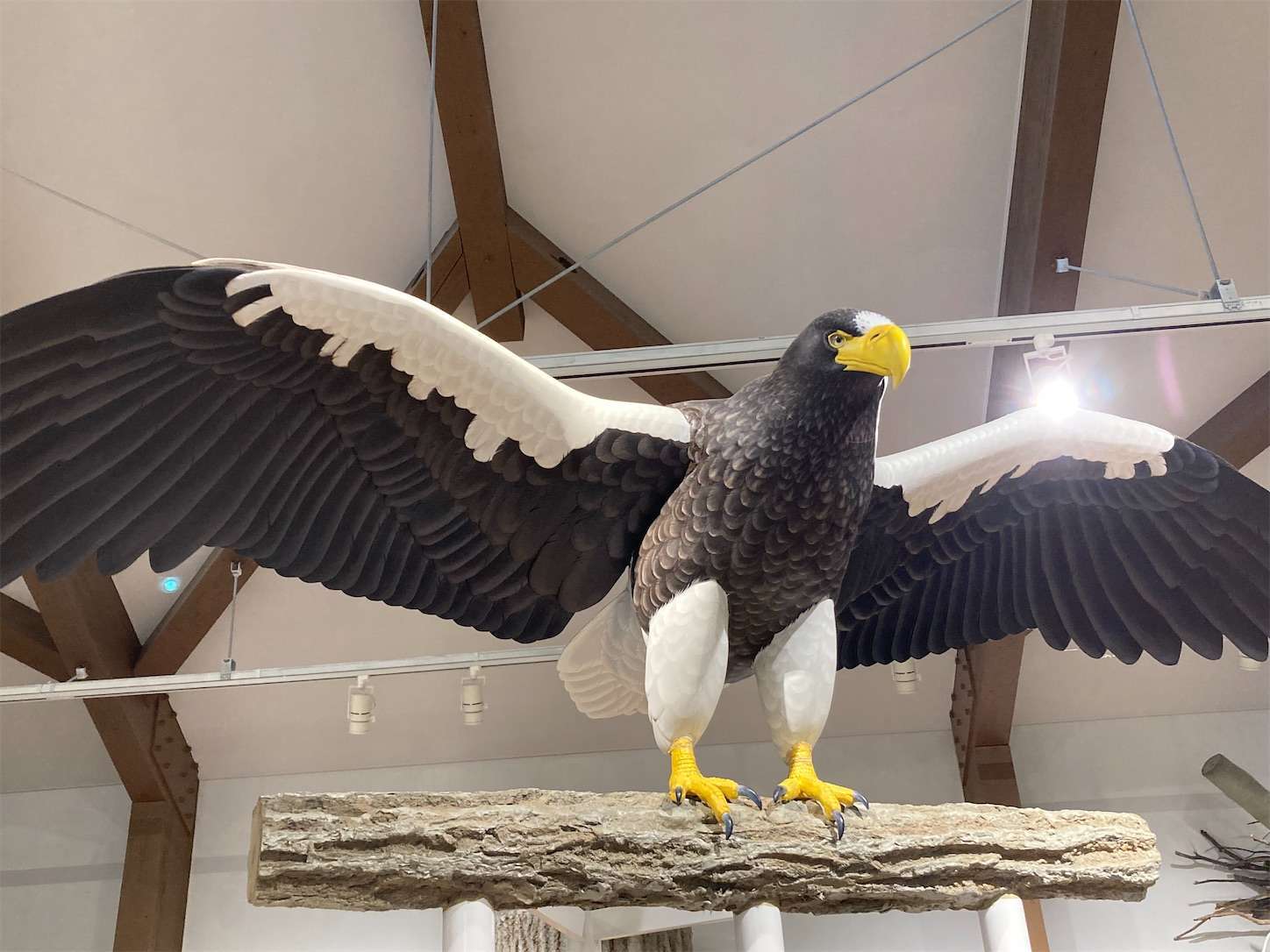 f:id:moomoon6355:20221002072714j:image f:id:moomoon6355:20221002072714j:image