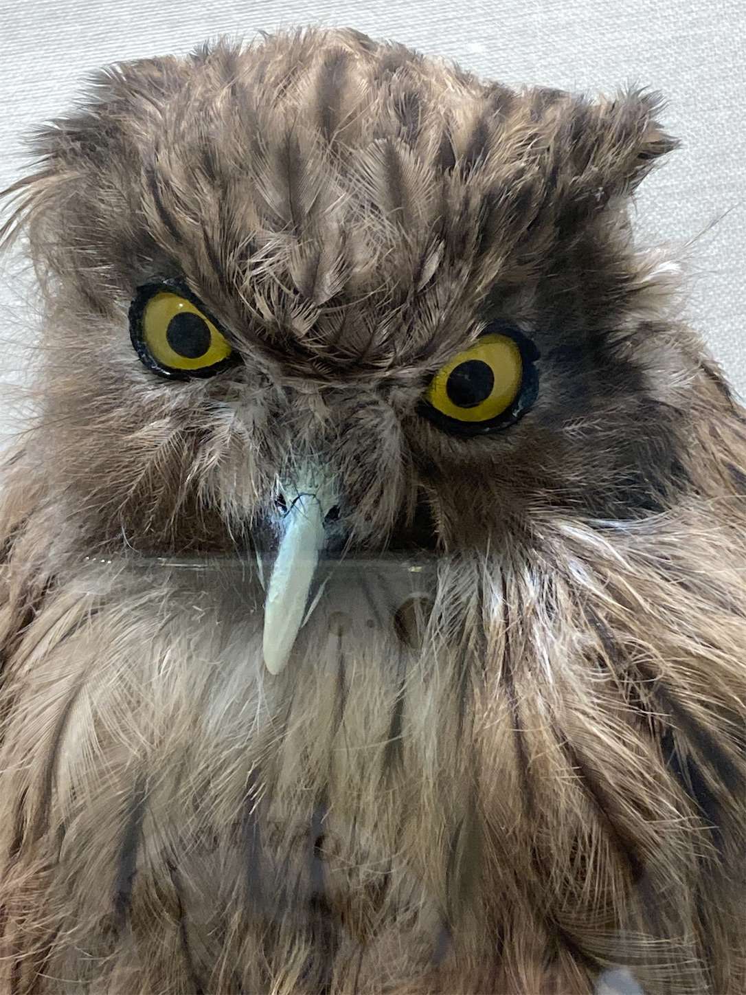 f:id:moomoon6355:20221002073941j:image f:id:moomoon6355:20221002073941j:image