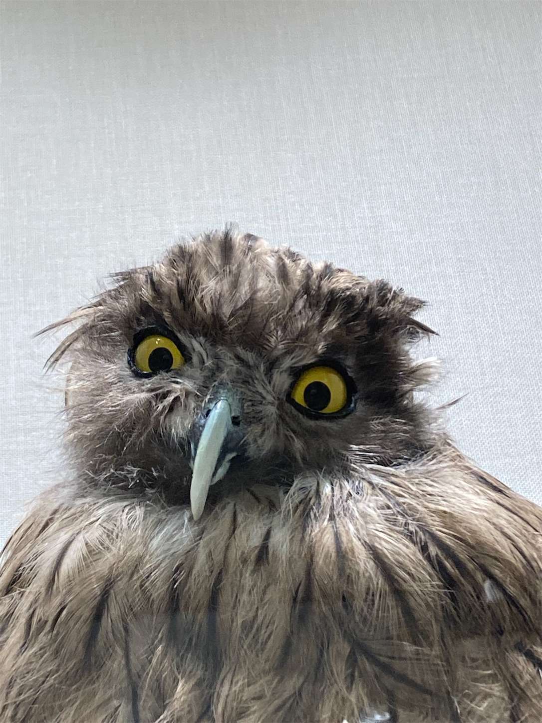 f:id:moomoon6355:20221002073945j:image f:id:moomoon6355:20221002073945j:image