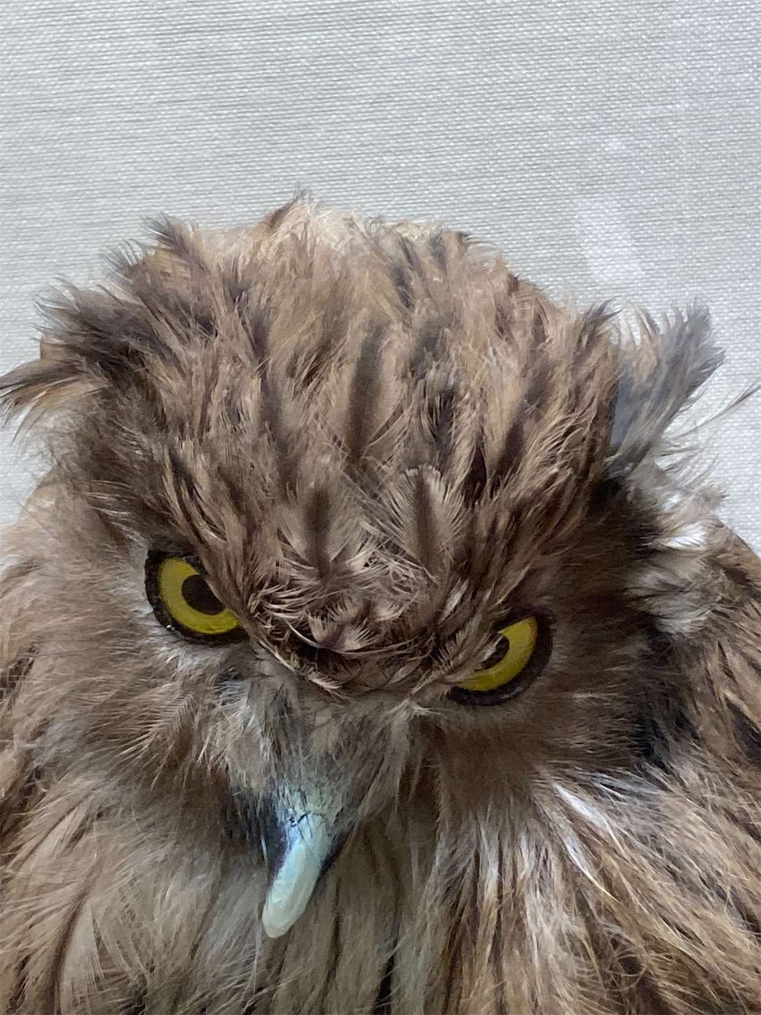 f:id:moomoon6355:20221002073949j:image f:id:moomoon6355:20221002073949j:image