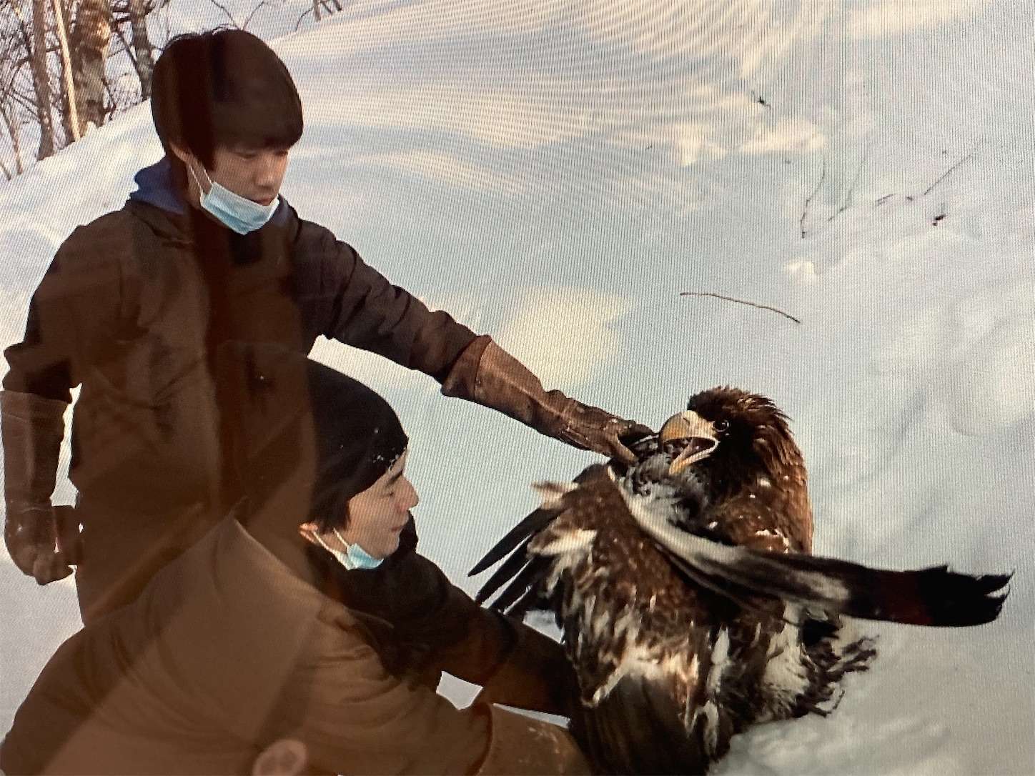 f:id:moomoon6355:20221002074215j:image f:id:moomoon6355:20221002074215j:image