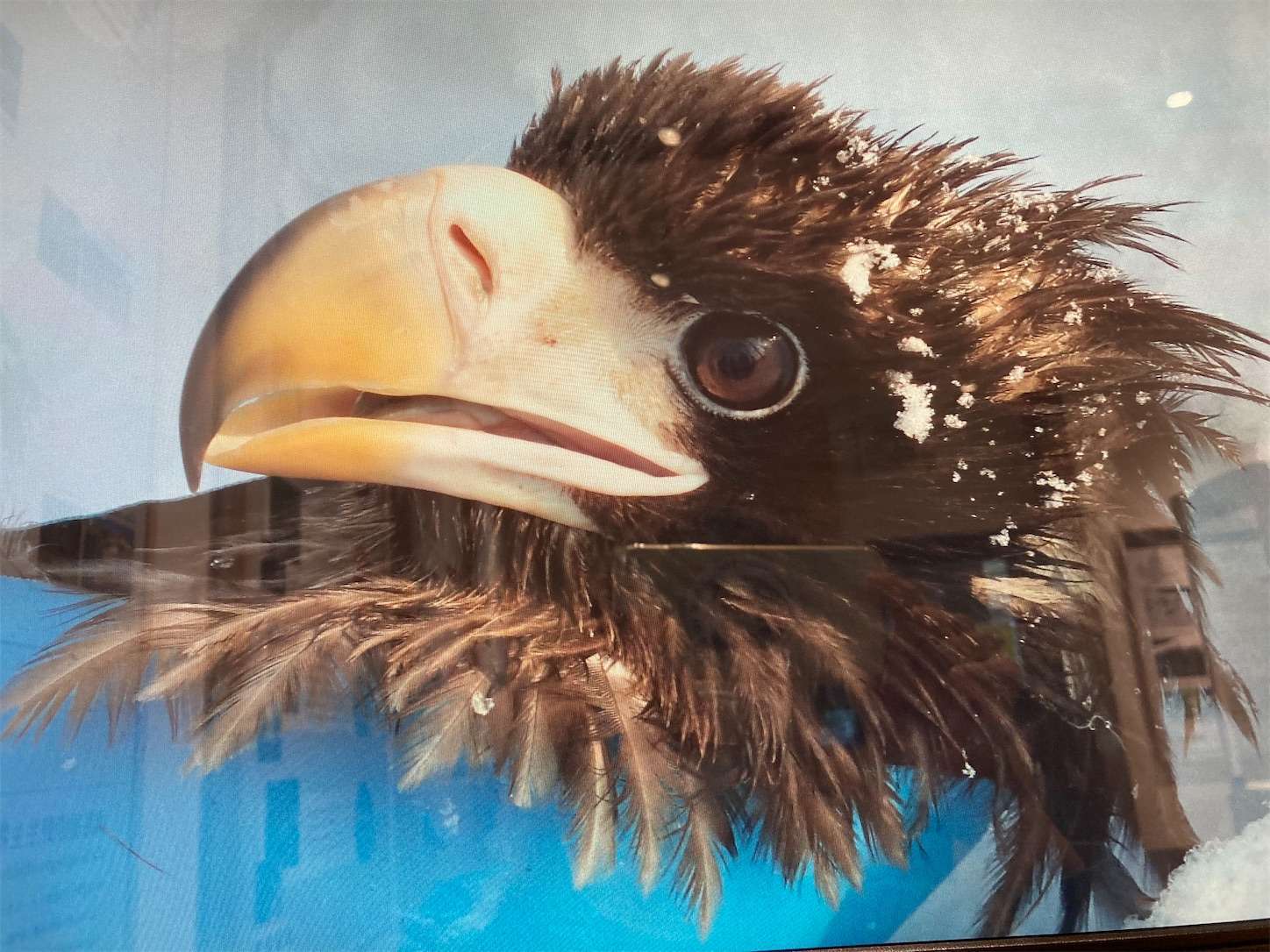 f:id:moomoon6355:20221002074219j:image f:id:moomoon6355:20221002074219j:image