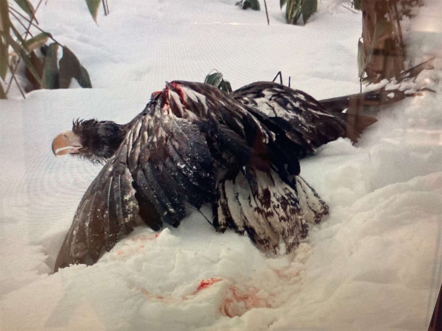 f:id:moomoon6355:20221002074223j:image f:id:moomoon6355:20221002074223j:image