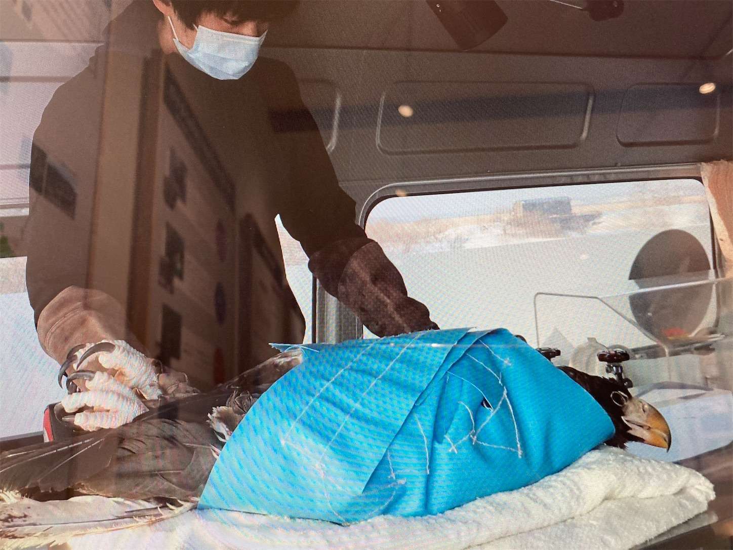 f:id:moomoon6355:20221002074227j:image f:id:moomoon6355:20221002074227j:image