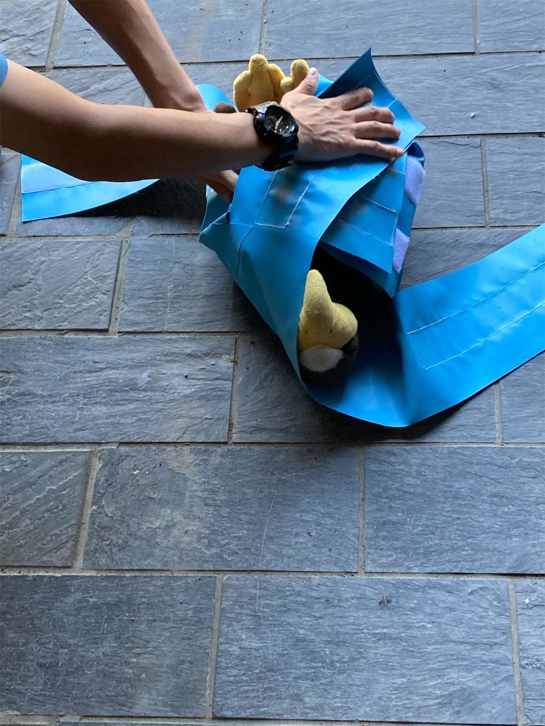 f:id:moomoon6355:20221002074819j:image f:id:moomoon6355:20221002074819j:image