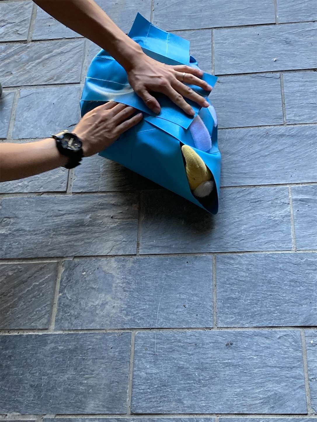 f:id:moomoon6355:20221002074822j:image f:id:moomoon6355:20221002074822j:image