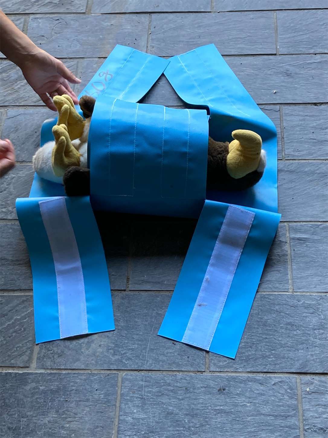 f:id:moomoon6355:20221002074841j:image f:id:moomoon6355:20221002074841j:image