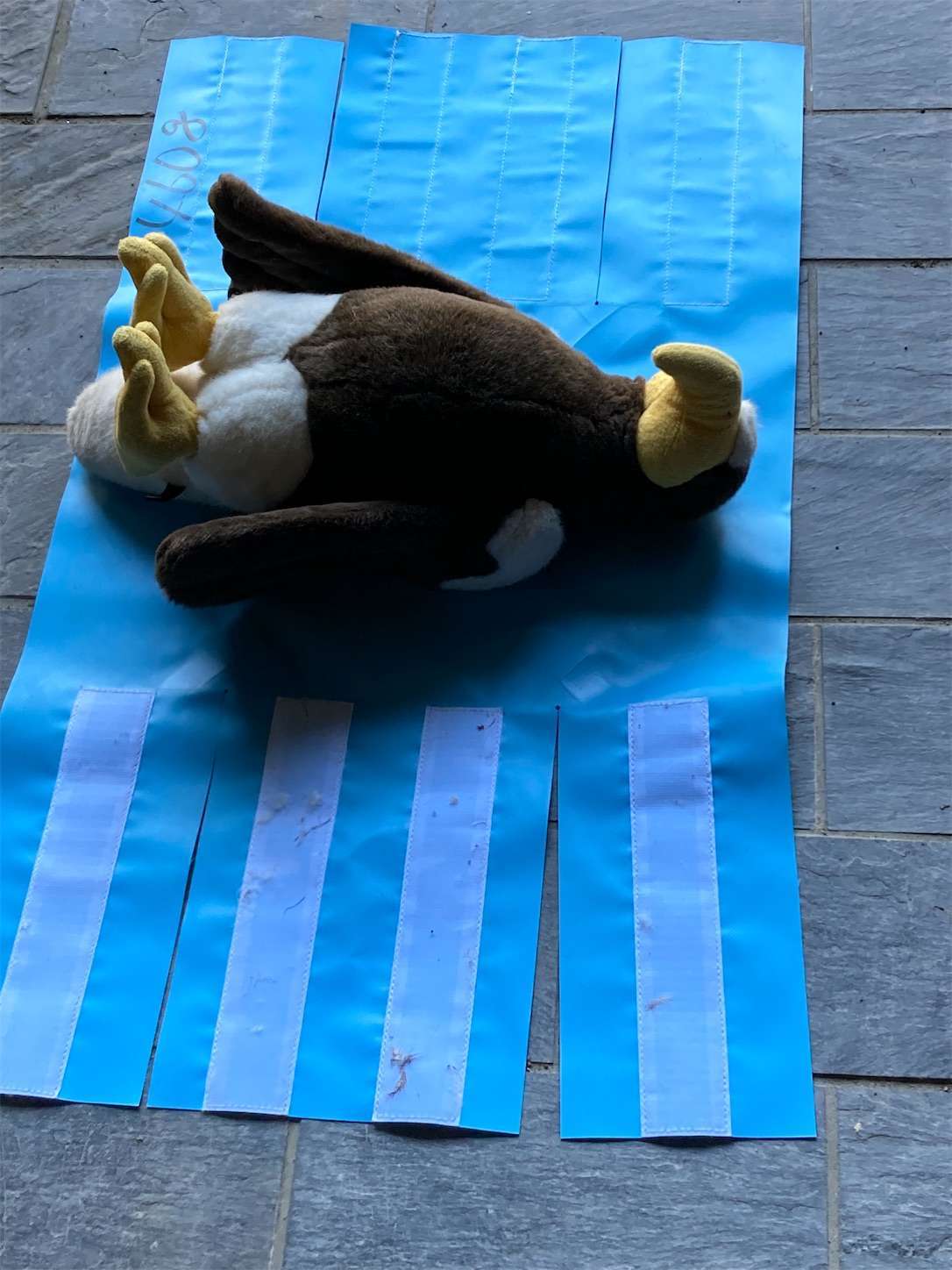 f:id:moomoon6355:20221002074845j:image f:id:moomoon6355:20221002074845j:image