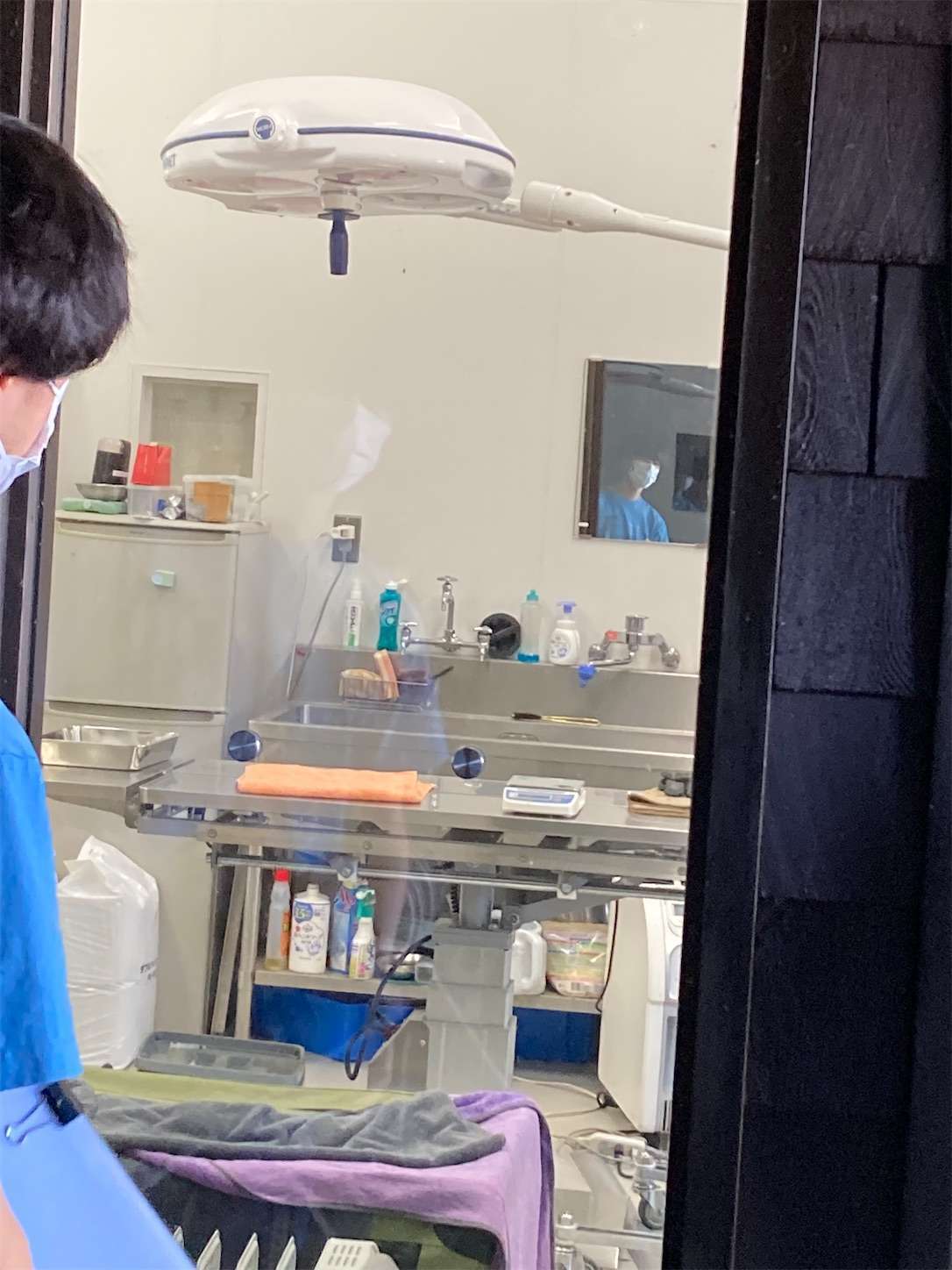 f:id:moomoon6355:20221002075236j:image f:id:moomoon6355:20221002075236j:image