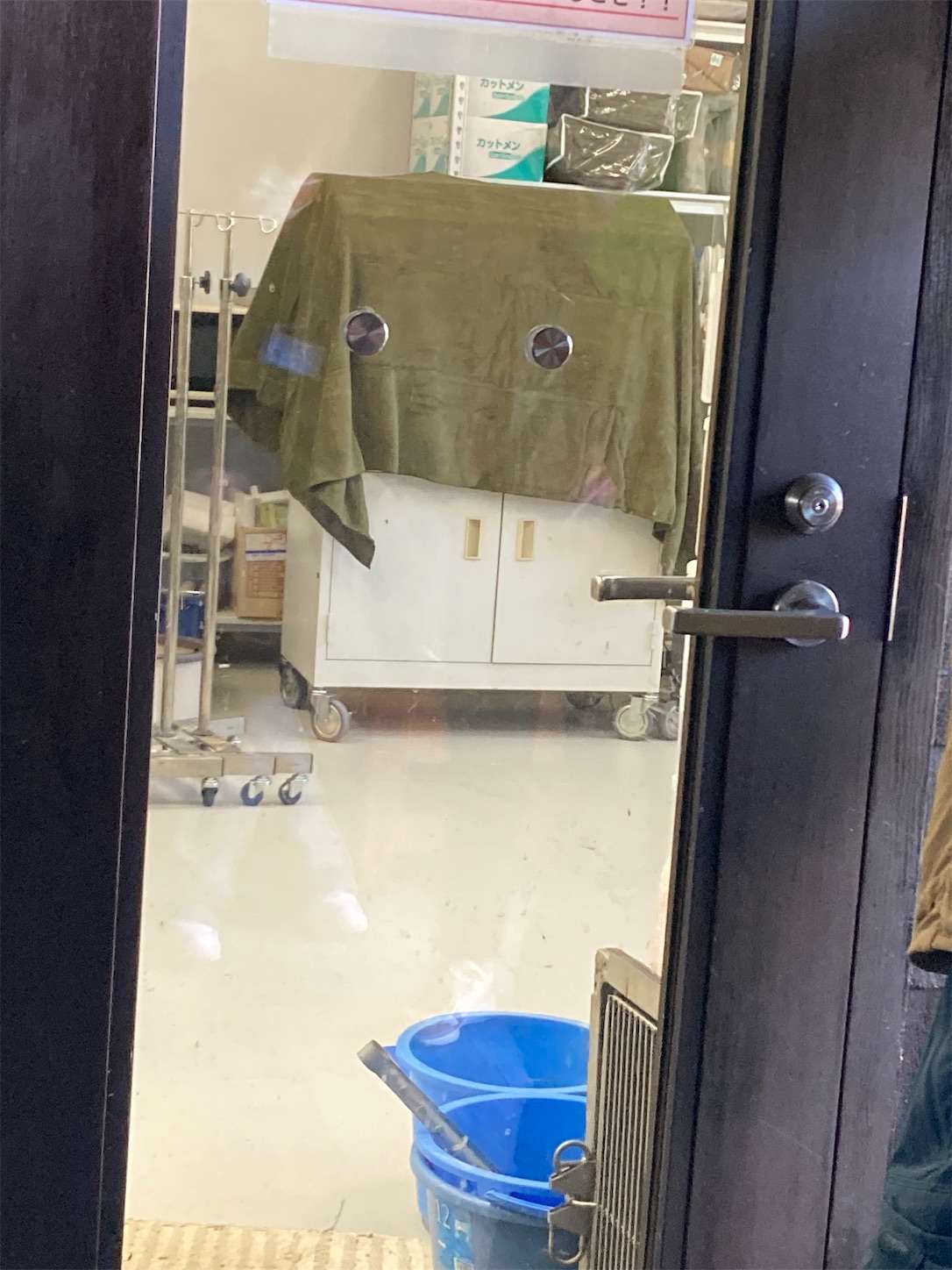 f:id:moomoon6355:20221002075239j:image f:id:moomoon6355:20221002075239j:image