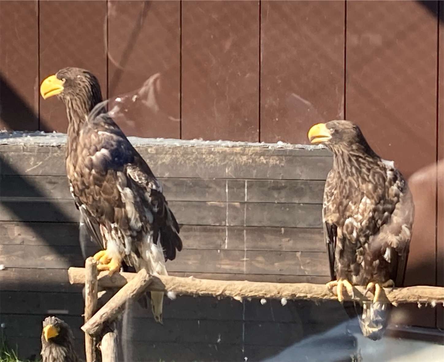 f:id:moomoon6355:20221003073838j:image f:id:moomoon6355:20221003073838j:image