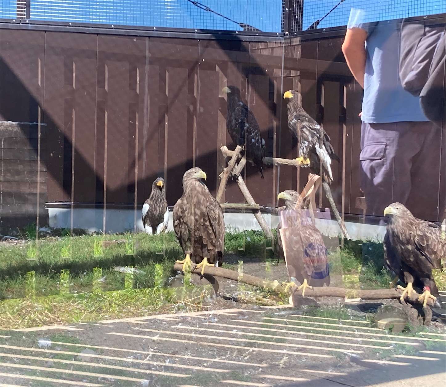 f:id:moomoon6355:20221003073842j:image f:id:moomoon6355:20221003073842j:image