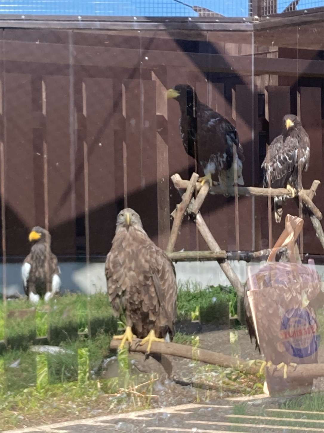 f:id:moomoon6355:20221003073846j:image f:id:moomoon6355:20221003073846j:image