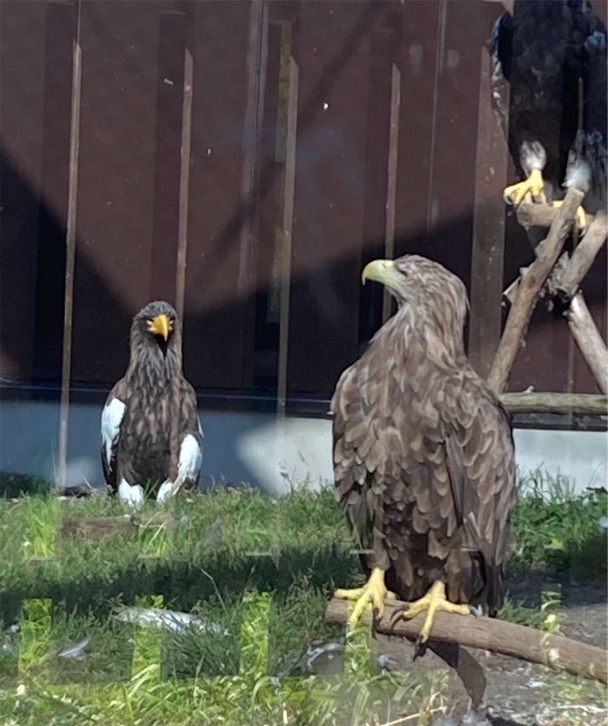 f:id:moomoon6355:20221003073849j:image f:id:moomoon6355:20221003073849j:image