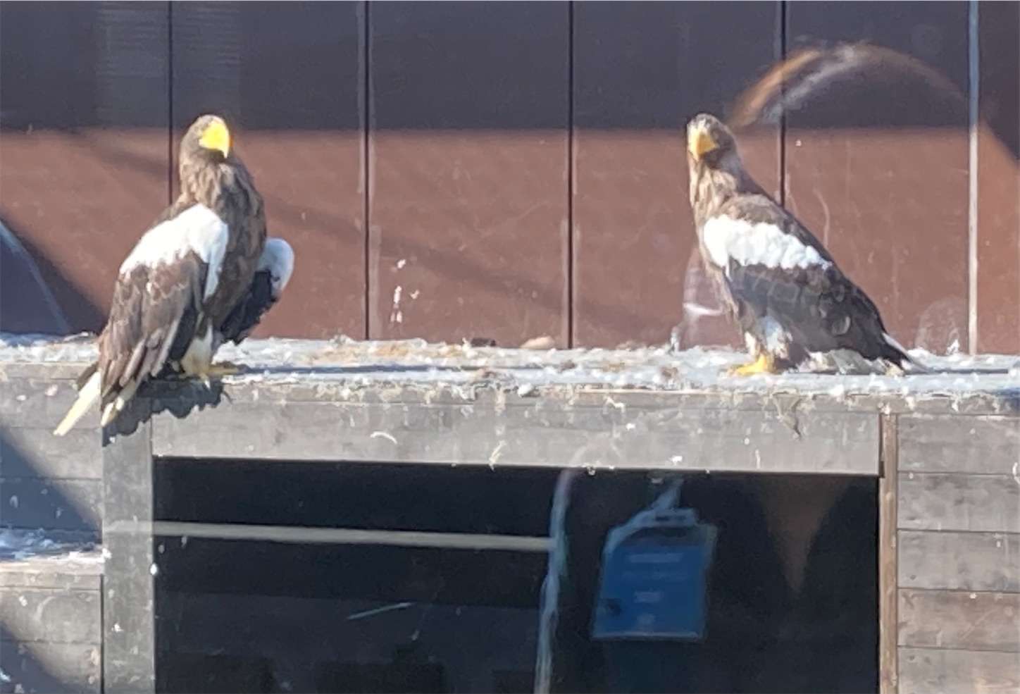 f:id:moomoon6355:20221003073853j:image f:id:moomoon6355:20221003073853j:image