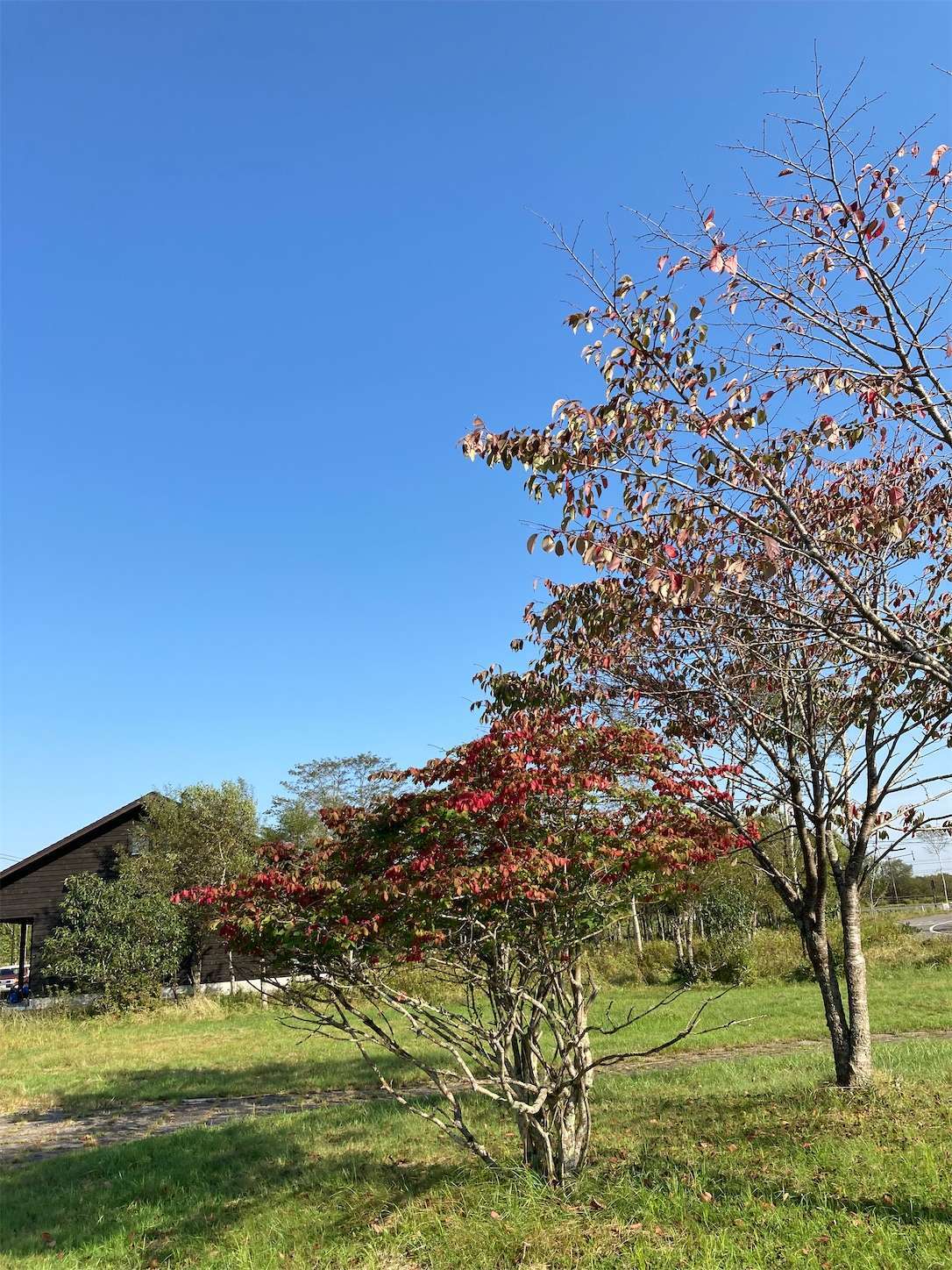 f:id:moomoon6355:20221003073944j:image f:id:moomoon6355:20221003073944j:image