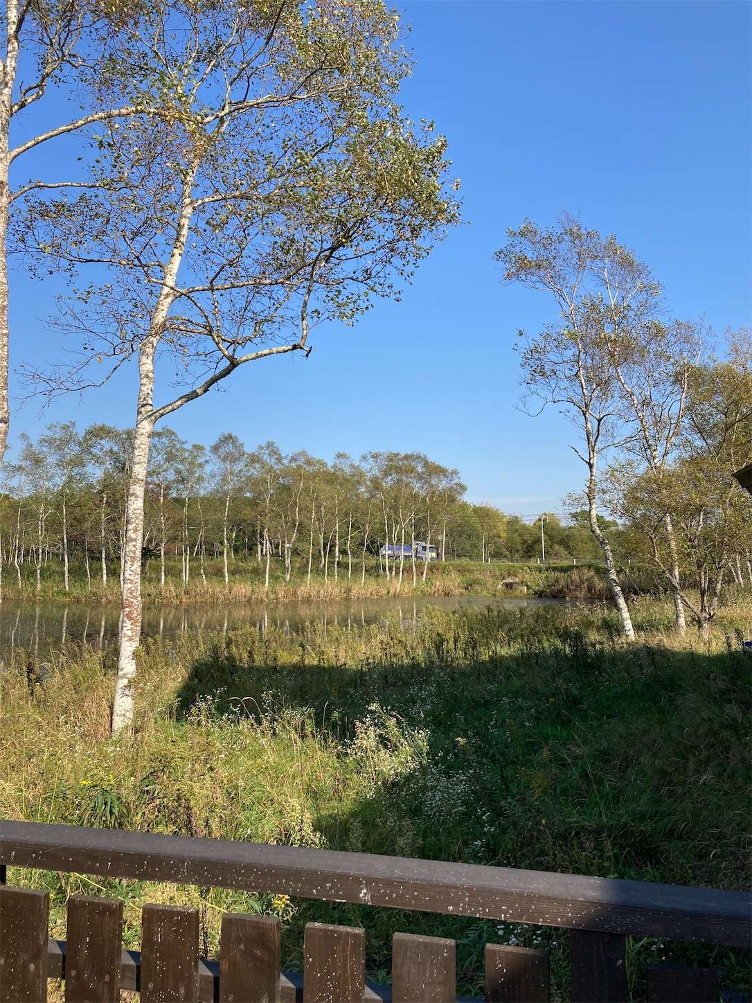 f:id:moomoon6355:20221003073948j:image f:id:moomoon6355:20221003073948j:image