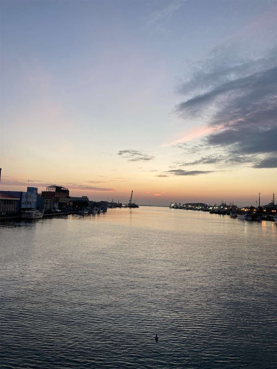 f:id:moomoon6355:20221003074858j:image f:id:moomoon6355:20221003074858j:image