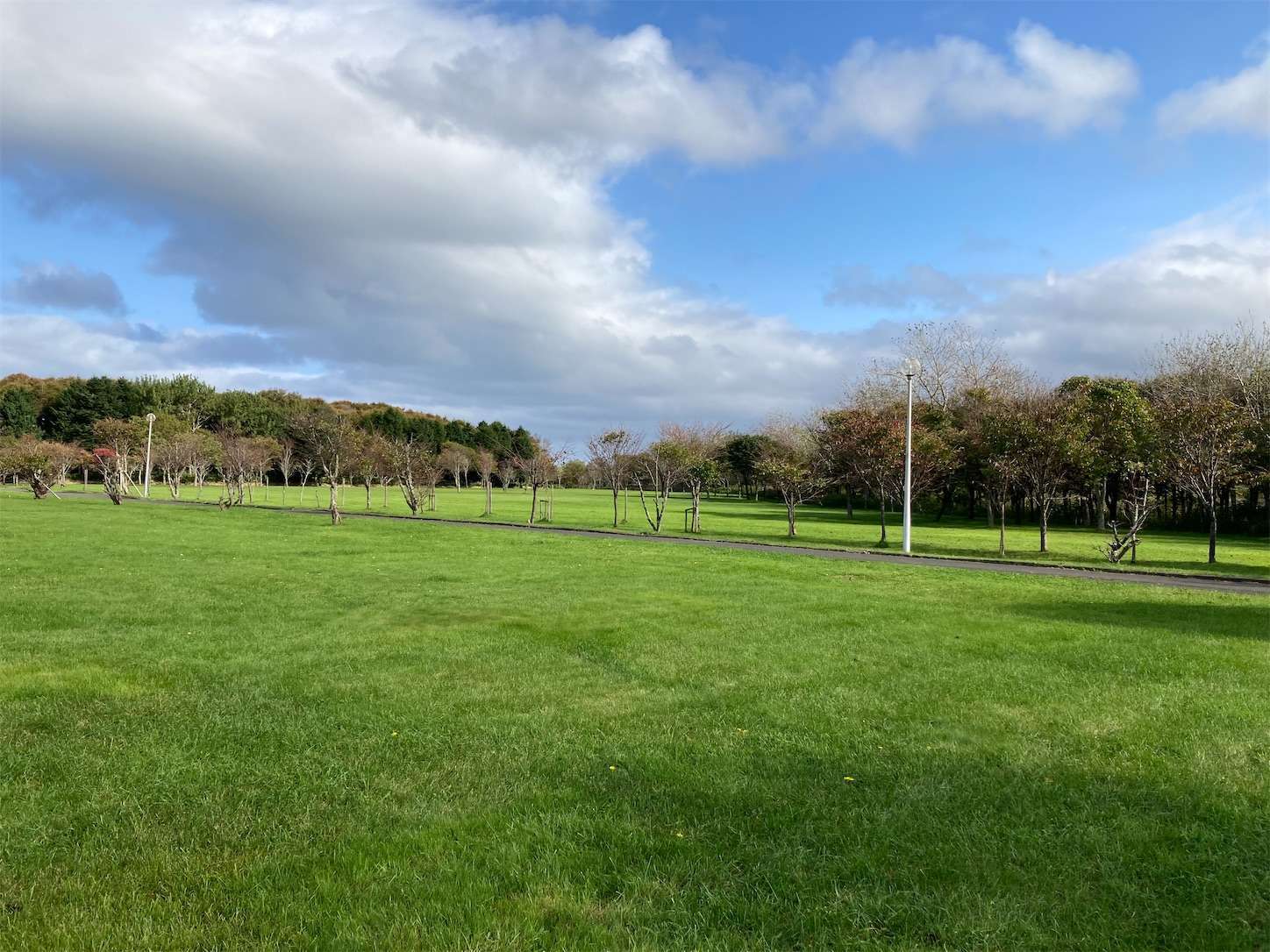 f:id:moomoon6355:20221004173245j:image f:id:moomoon6355:20221004173245j:image