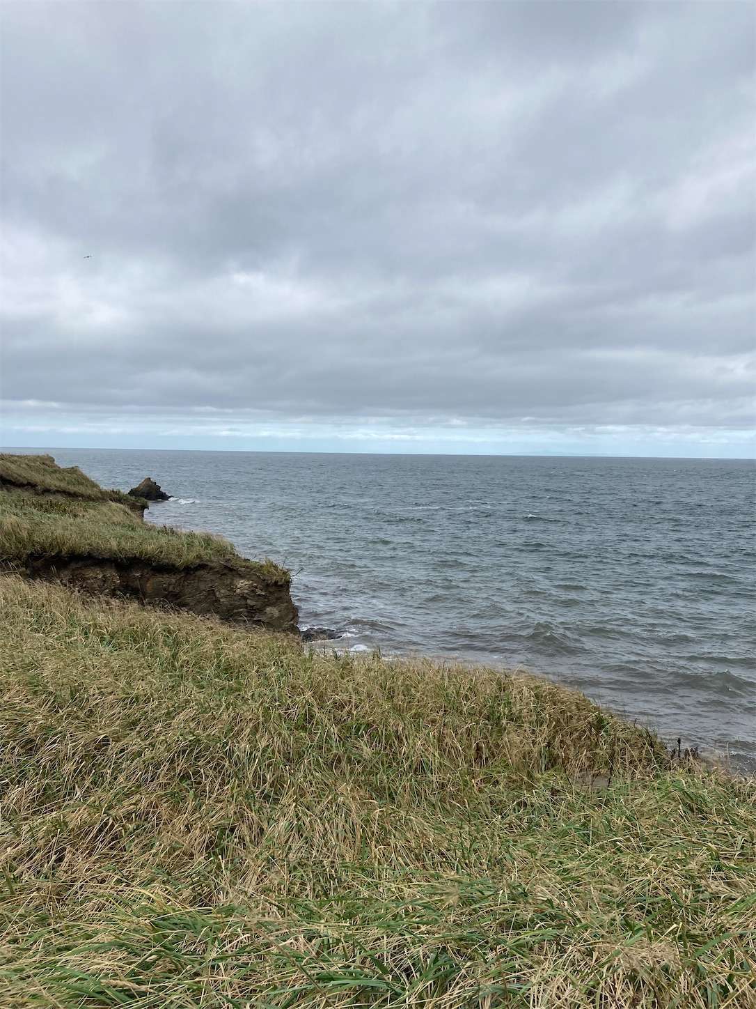 f:id:moomoon6355:20221004173712j:image f:id:moomoon6355:20221004173712j:image