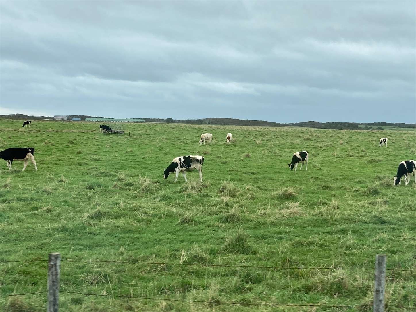 f:id:moomoon6355:20221004175239j:image f:id:moomoon6355:20221004175239j:image