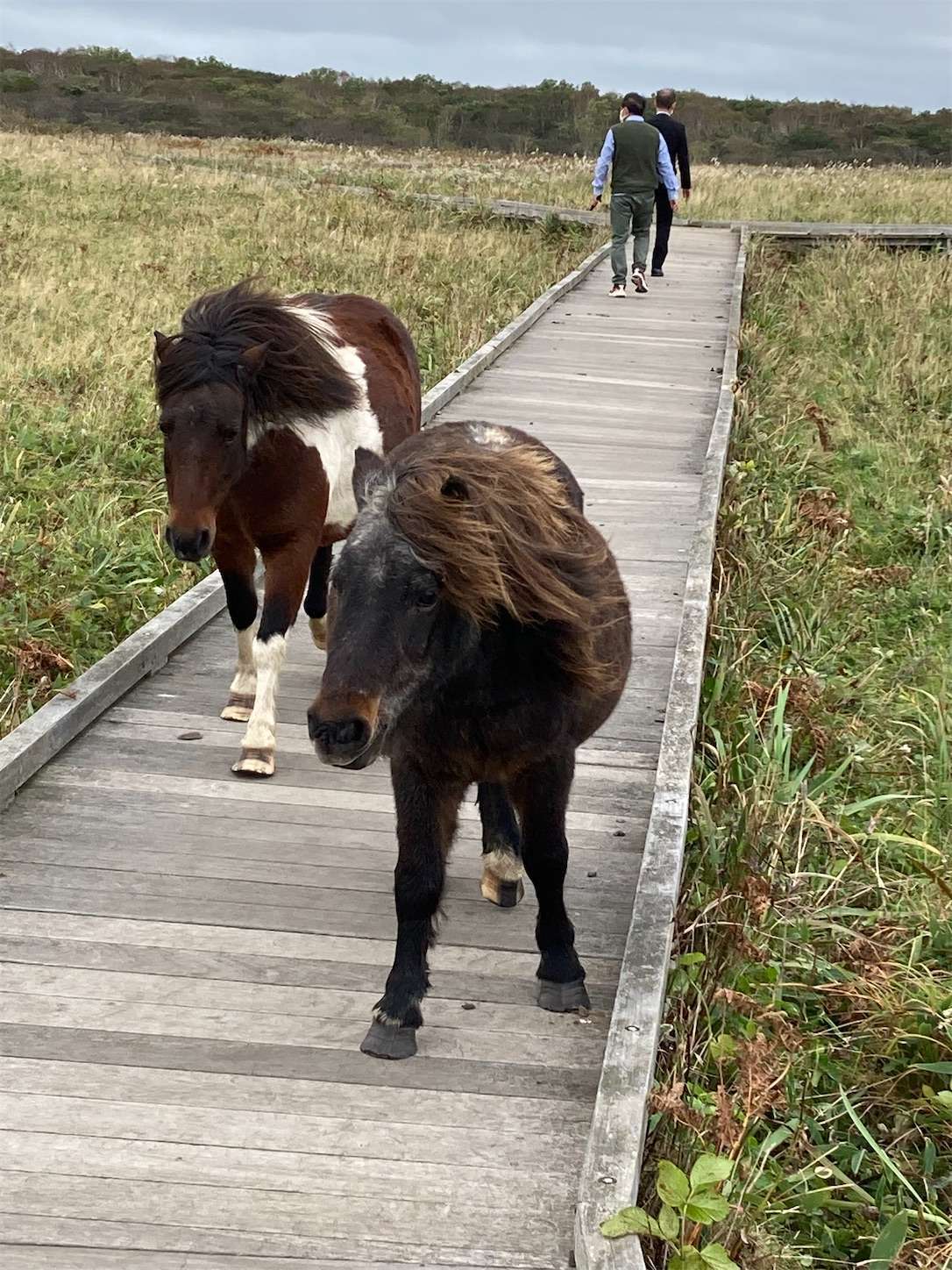 f:id:moomoon6355:20221004175244j:image f:id:moomoon6355:20221004175244j:image