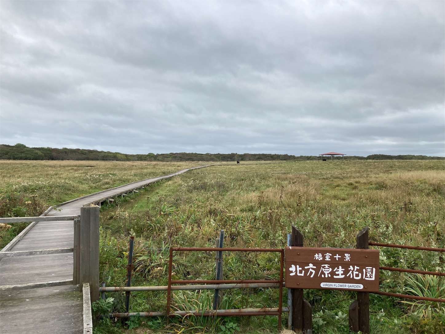 f:id:moomoon6355:20221004175248j:image f:id:moomoon6355:20221004175248j:image