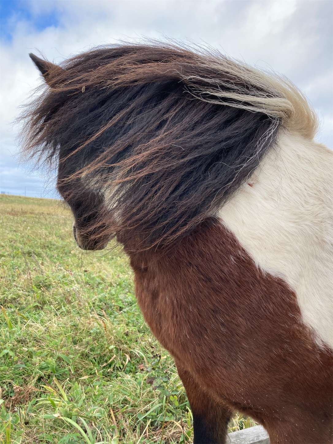 f:id:moomoon6355:20221004175252j:image f:id:moomoon6355:20221004175252j:image