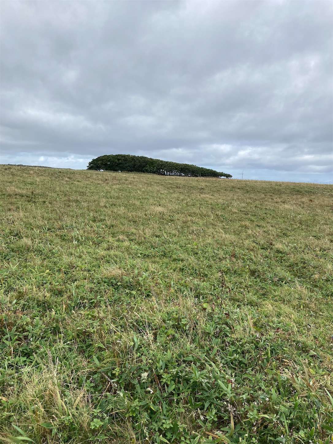 f:id:moomoon6355:20221004175257j:image f:id:moomoon6355:20221004175257j:image