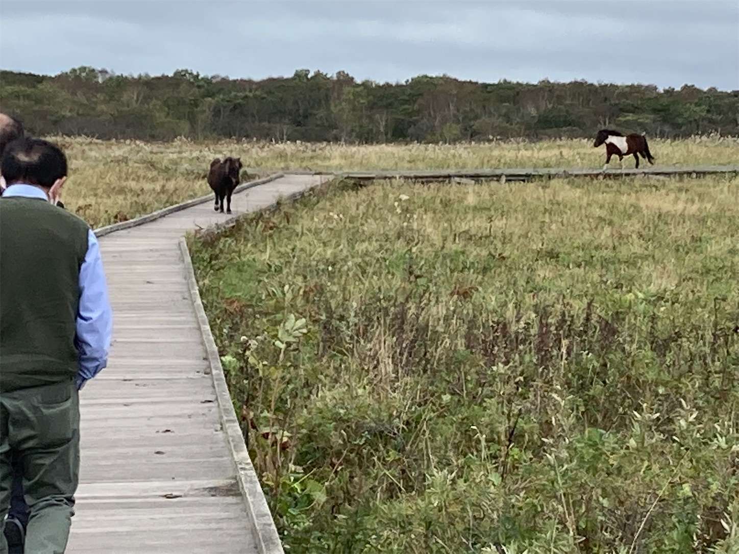 f:id:moomoon6355:20221004175304j:image f:id:moomoon6355:20221004175304j:image