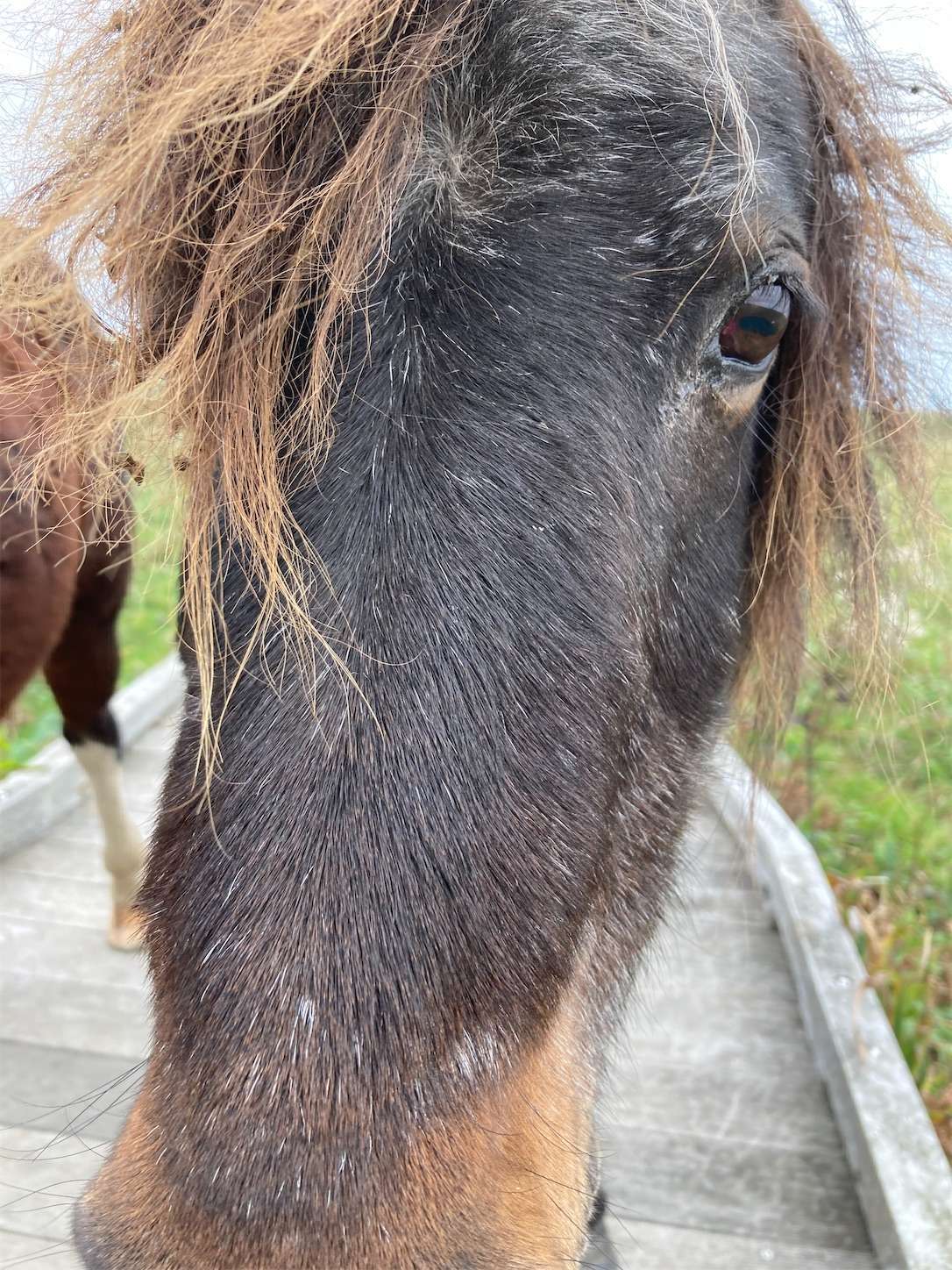 f:id:moomoon6355:20221004175309j:image f:id:moomoon6355:20221004175309j:image