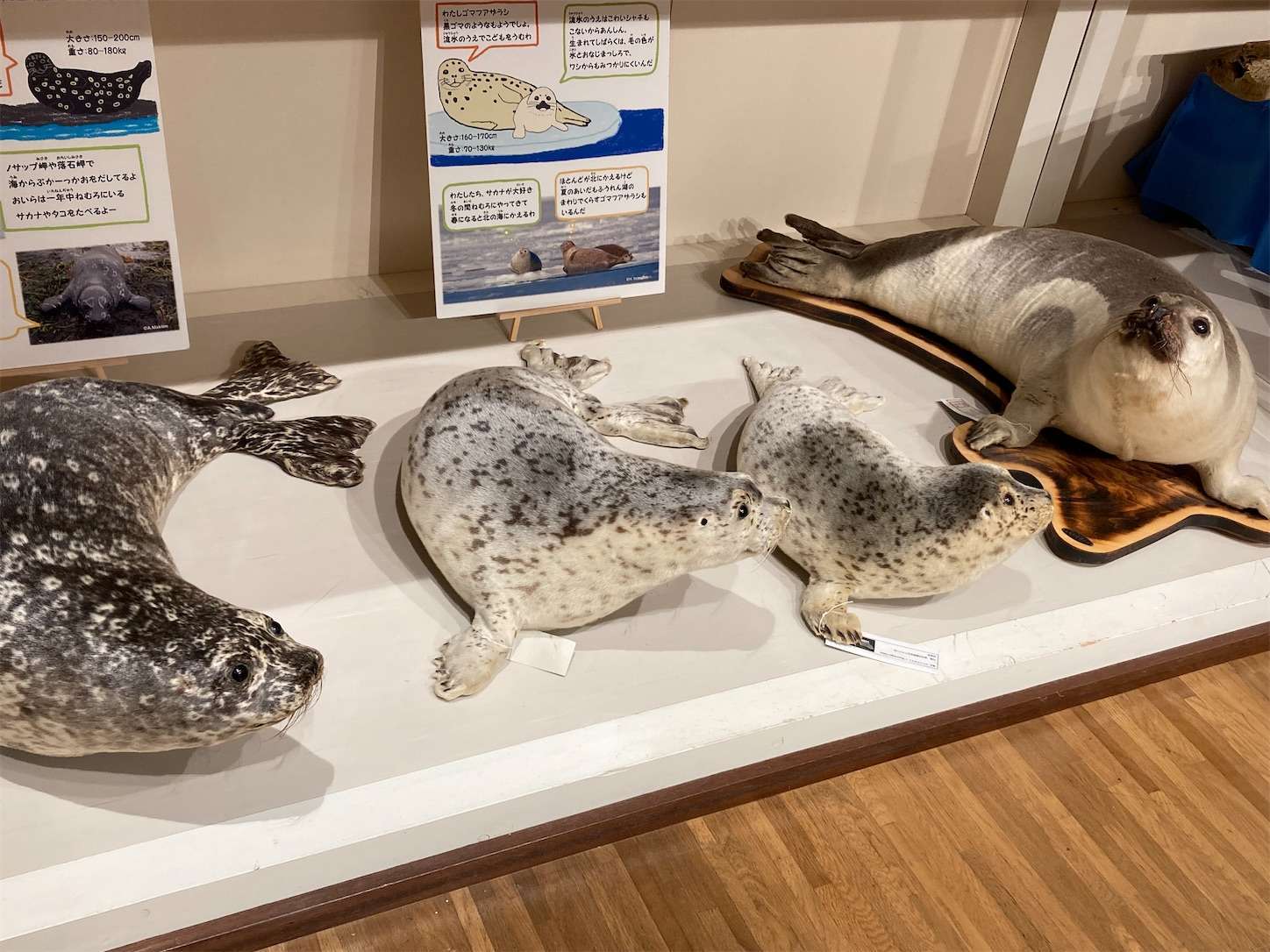 f:id:moomoon6355:20221004180252j:image f:id:moomoon6355:20221004180252j:image