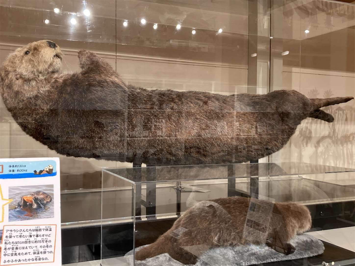 f:id:moomoon6355:20221004180304j:image f:id:moomoon6355:20221004180304j:image