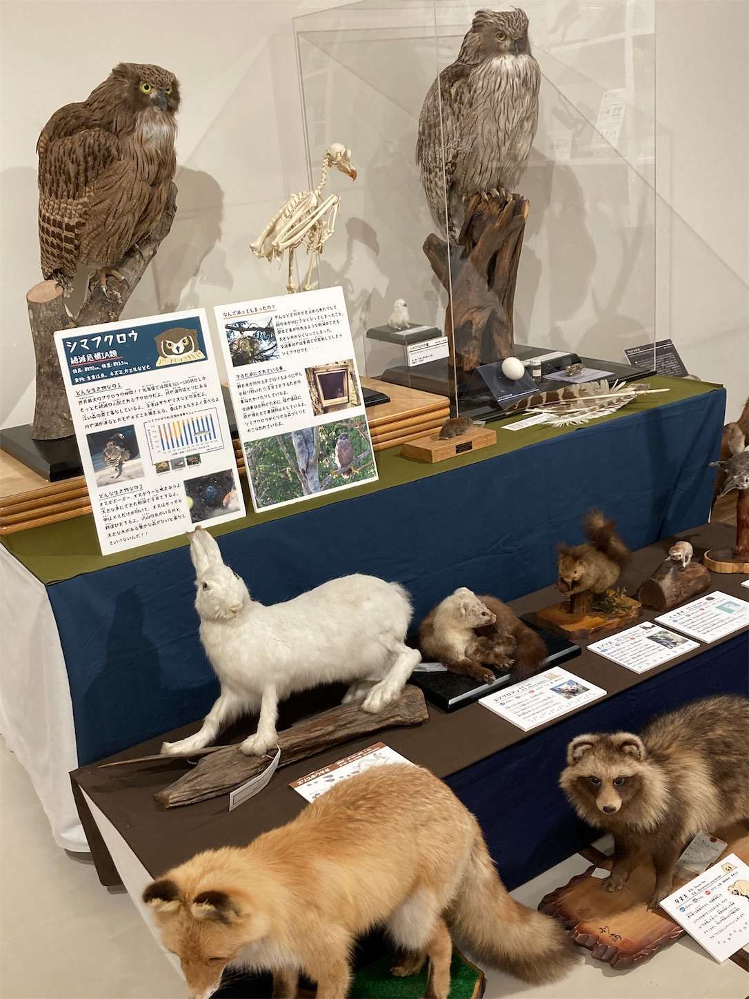 f:id:moomoon6355:20221004180315j:image f:id:moomoon6355:20221004180315j:image