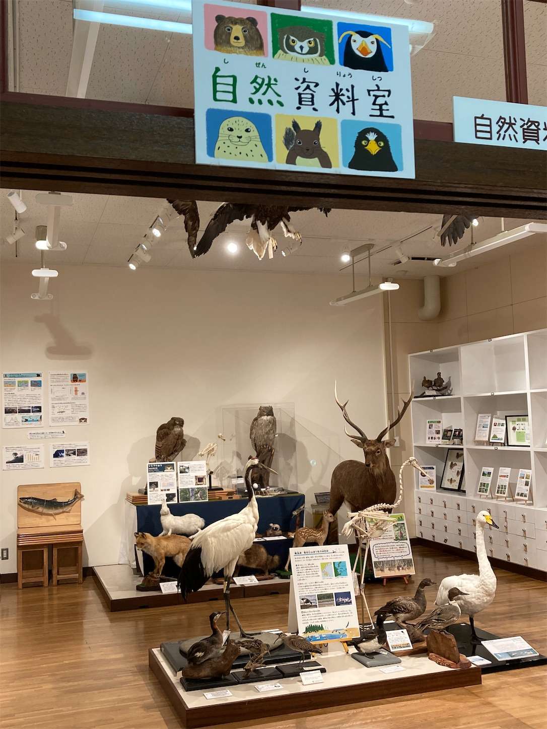 f:id:moomoon6355:20221004180320j:image f:id:moomoon6355:20221004180320j:image